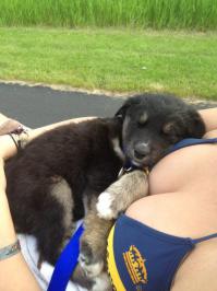 Киска в норме, а отдыхать НАДО правильно .