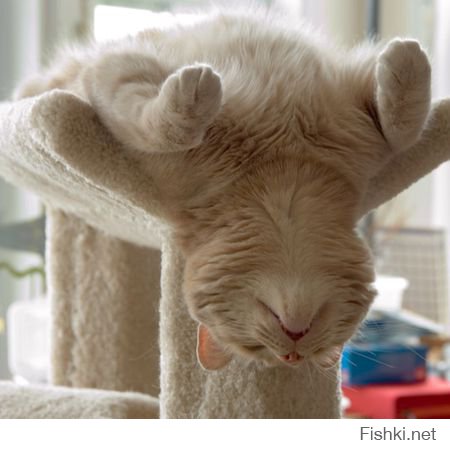 У нас Новый Год был <span style='color:gray'>[мат]</span> !