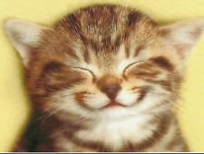 мой брат выпил всё, ну и вот сижу .