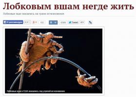 Мне больше всего эта доставила (из той же газеты ру):