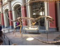 А это в Берлине, вход 3 €