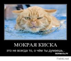 Тест личности по выбору рисунка дерева