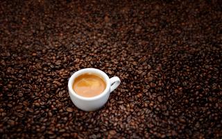 У меня вот такая картинка на столе. Фото моё (с)