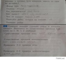 Гениальные ответы детей на контрольных работах
