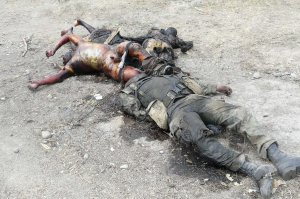 Это тебе, шакал. Называется, "пригоревший укроп".