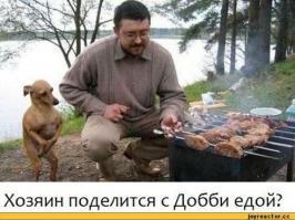 Инстинкт шашлыка