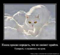 Солянка для Майдана. Часть 67