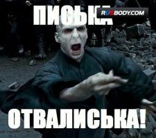 Зооклассификация женщин 