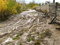 В России всего три погоды:
Грязь
Грязь засохла
Грязь замёрзла

А это осень, которую я наблюдаю не на картинах: