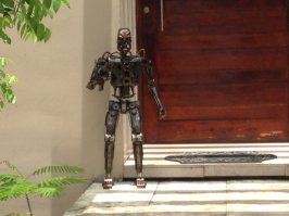 плайа дель кармен - мексика