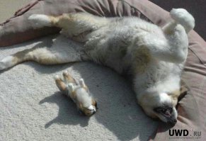 Своими руками.