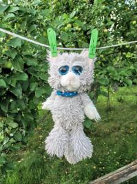 Фишкина солянка за 03.09.2014