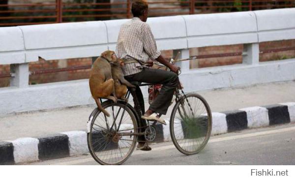 Нормально дернули 