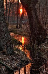 Красиво и не очень