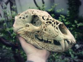 Красиво и не очень