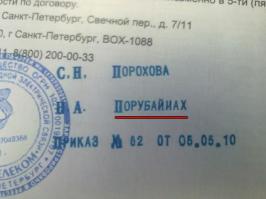 Забавные фото 