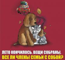 Животные утепляются к осени