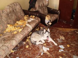 Если будут тем же составом, то через два месяца диван так точно поменяют