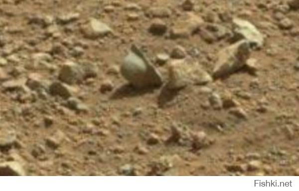 » На Марсе марсоход Curiosity заприметил каску гитлеровца.
24-05-2013, 09:00 | Наука и техника »

Добровольцы, которые мониторят снимки марсохода Curiosity, пребывают в шоке: на одном из снимков им удалось разглядеть очертания каски гитлеровского солдата.