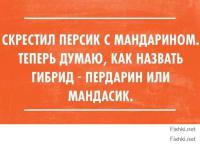 Смешные комментарии из социальных сетей 03.11.14