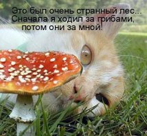 Декоративные грибы своими руками