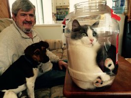 Котэ забанен?))))