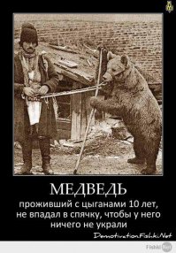  Комизм румынской действительности  