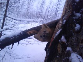 Фотографий очень много, постараюсь на выходных одним постом оформить...