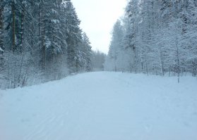 Фотографий очень много, постараюсь на выходных одним постом оформить...