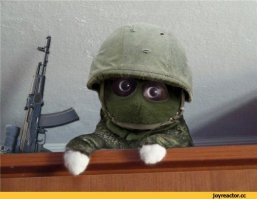 "Что касается утверждений об использовании российского спецназа в событиях на Украине, то скажу лишь одно: трудно искать черную кошку в темной комнате, особенно если ее там нет. Это тем более глупо, если эта кошка умная, смелая и вежливая"
Окончание особенно понравилось.