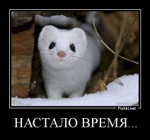 Ласка матери вернула мертвого младенца к жизни