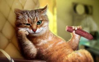 Что общего между цветным телевизором и советской разведкой?