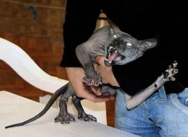 И Это только НАЧАЛООООО!!!!!!