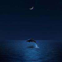 Фишкина солянка за 17.09.2014 