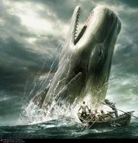 Фишкина солянка за 17.09.2014 