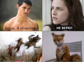 Фишкина солянка на 16.10.2014