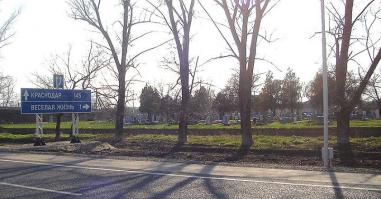 Фишкина солянка за 17.11.2014