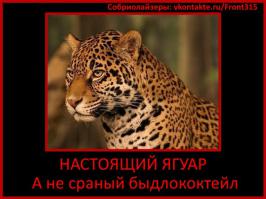 Тюменская область без «ЯГУАРА»