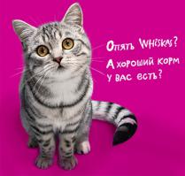 Купил коту новый корм