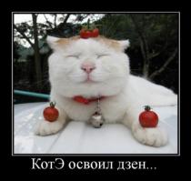 Капитально приучен)