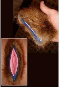 особо успешные из них видимо сделали