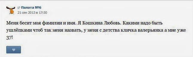 Действительно ли вас любит ваша кошка?