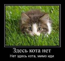 Мастер маскировки