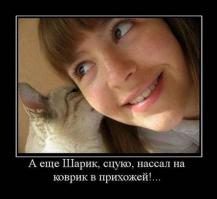 Тайный язык кошек