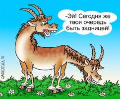 В Париже и Берлине прошли акции в поддержку Новороссии
