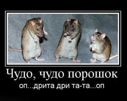 Задержаны диверсанты выдававшие себя за ополченцев