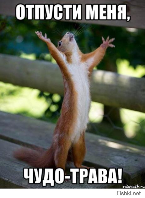 Демотиваторы про Укро-ину 5