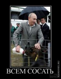 На окраинах Польши замечены стычки с украинскими националистами 