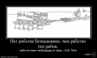 В - Вежливость