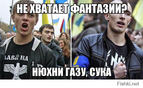 Горькая правда Донбасса